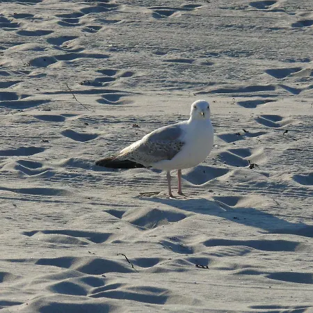 Lejlighed Am Ostseestrand